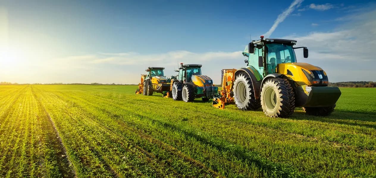 Operational Lease(s)